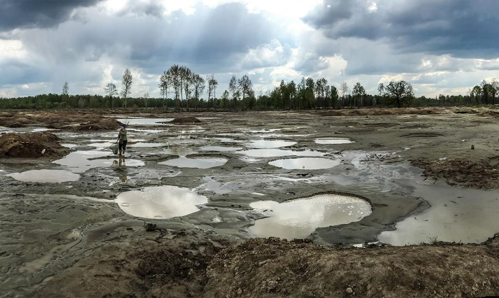 Dubrovytsia, illegal amber mining